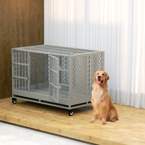 Kong metal 2024 dog crate